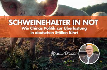 Schweinehalter unter Druck historischen Ausmaßes