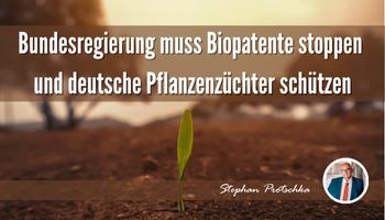 Bundesregierung muss Biopatente stoppen und deutsche Pflanzenzüchter schützen